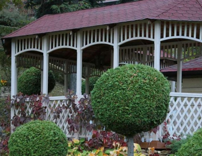 Санаторий «Кругозор» Кисловодск